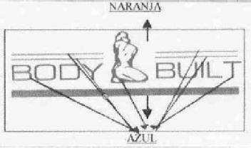 Imagen de BODY BUILT