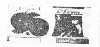 Imagen de EL ENCIERRO