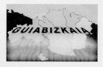 Imagen de GUIABIZKAIA