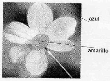 Imagen de M2390412