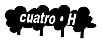 Imagen de CUATRO . H