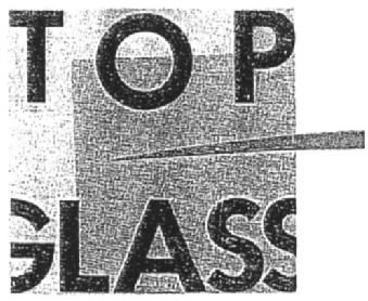 Imagen de TOP GLASS, FIG