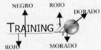 Imagen de TRAINING 24