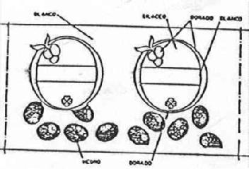 Imagen de M1159073
