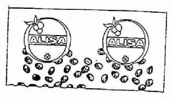 Imagen de ALISA