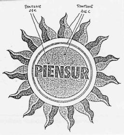 Imagen de PIENSUR
