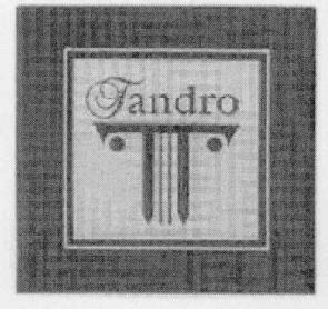 Imagen de T TANDRO