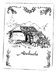 Imagen de ACEBUCHE