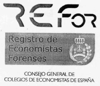 Imagen de REFOR REGISTRO DE ECONOMISTAS FORENSES CONSEJO GENERAL DE COLEGIOS DE ECONOMISTAS DE ESPAÑA