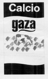 Imagen de CALCIO GAZA