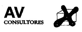 Imagen de AV CONSULTORES