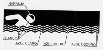 Imagen de M2400327