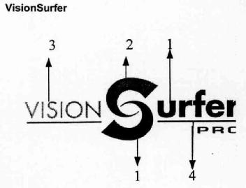 Imagen de VISIONSURFER PRO