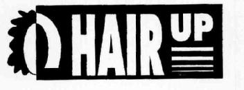 Imagen de HAIR UP