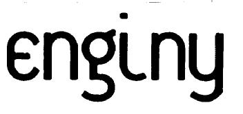 Imagen de ENGINY