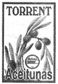 Imagen de TORRENT ACEITUNAS