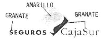 Imagen de SEGUROS CAJASUR