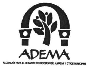 Imagen de ADEMA ASOCIACION PARA EL DESARROLLO ENDOGENO DE ALMAZAN Y OTROS MUNICIPIOS