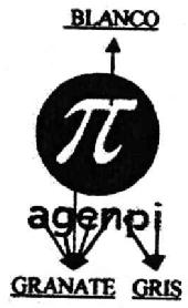 Imagen de AGENPI