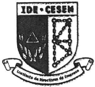 Imagen de IDE-CESEM INSTITUTO DE DIRECTIVOS DE EMPRESA