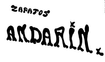 Imagen de ZAPATOS ANDARIN