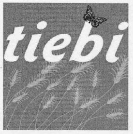 Imagen de TIEBI