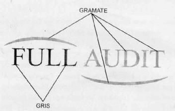 Imagen de FULL AUDIT