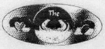 Imagen de THE MOON
