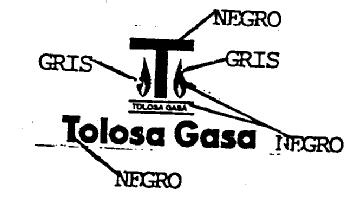 Imagen de T TOLOSA GASA