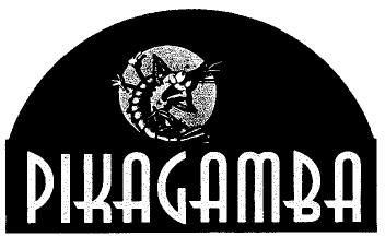 Imagen de PIKAGAMBA