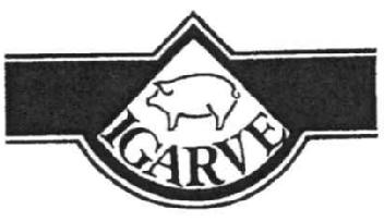 Imagen de IGARVE