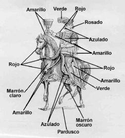 Imagen de M2418889