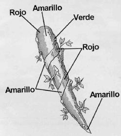 Imagen de M2418894