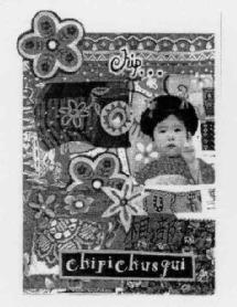 Imagen de CHIPICHUSQUI