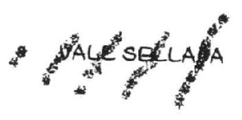 Imagen de VALL SELLADA