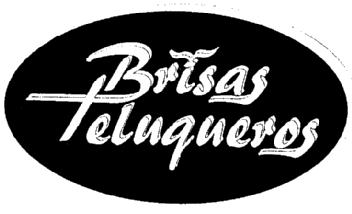 Imagen de BRISAS PELUQUEROS