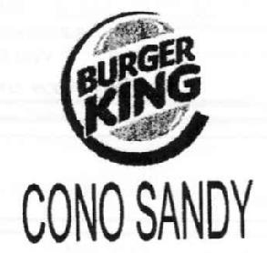Imagen de BURGER KING CONO SANDY