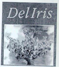 Imagen de DELIRIS