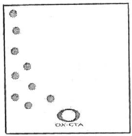 Imagen de OX-CTA