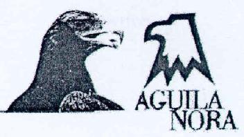Imagen de AGUILA NORA