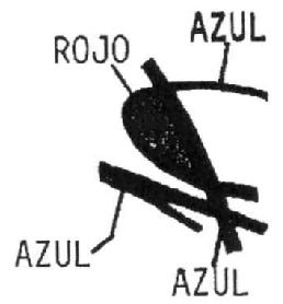 Imagen de M2424450