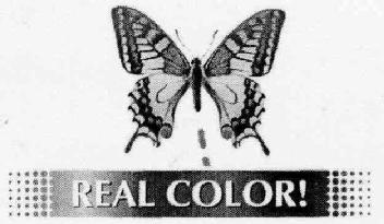 Imagen de REAL COLOR!