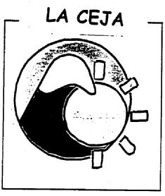 Imagen de LA CEJA