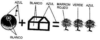Imagen de M2425106