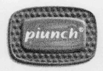 Imagen de PIUNCH