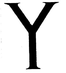 Imagen de Y