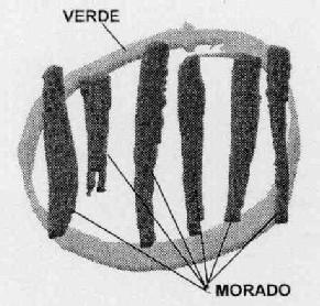 Imagen de M2428252