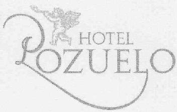 Imagen de HOTEL POZUELO