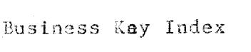 Imagen de BUSINESS KEY INDEX