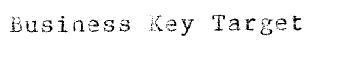Imagen de BUSINESS KEY TARGET